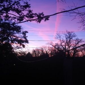 Meet your Posher, Chrissy